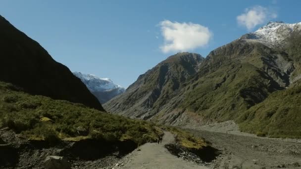 Mening Van Berg Van Gletsjerrivier Vallei Fox Glacier West Coast — Stockvideo