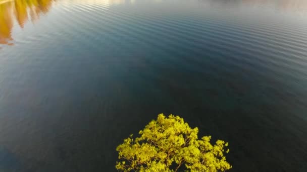 Vue Aérienne Par Drone Arbre Solitaire Lac Wanaka Des Sommets — Video