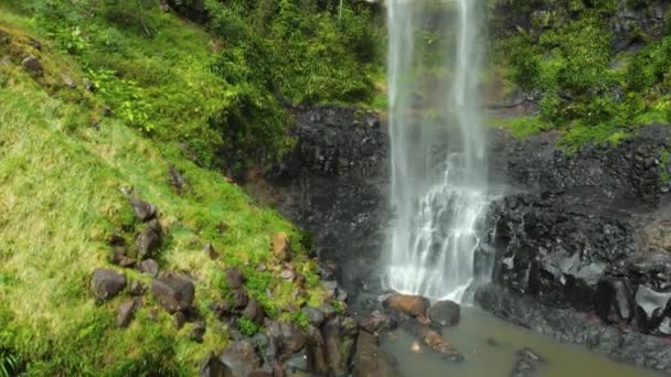 Purling Bäck Faller Springbrook Nationalpark Queensland Australien — Stockvideo