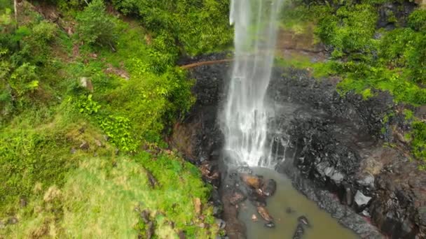 Purling Brook Falls Springbrook National Park Queensland Australia