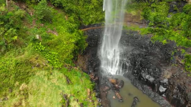 Purling Bäck Faller Springbrook Nationalpark Queensland Australien — Stockvideo