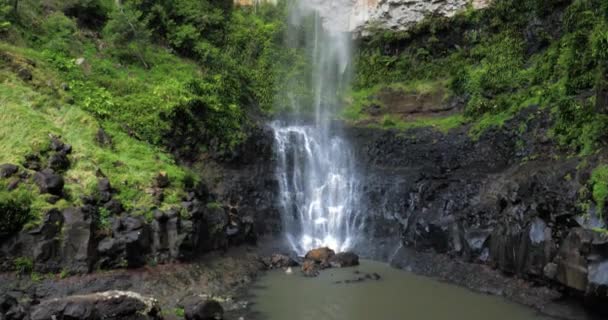 Purling Bäck Faller Springbrook Nationalpark Queensland Australien — Stockvideo