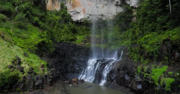 Purling Bäck Faller Springbrook Nationalpark Queensland Australien — Stockvideo