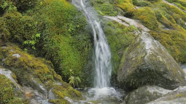 Eau Bleue Rochers Réserve Panoramique Hokitika Gorge Île Sud Nouvelle — Video