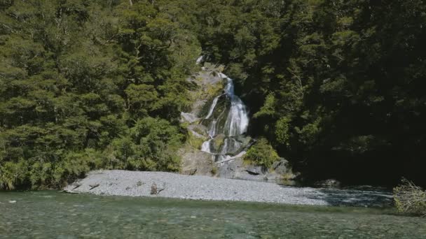 Fantail Falls Haast Pass Φιλοδοξώντας Εθνικό Πάρκο Νέα Ζηλανδία Νότιο — Αρχείο Βίντεο