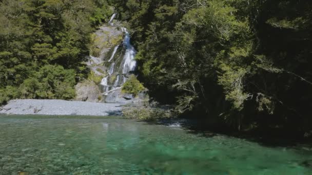 Fantail Falls Haast Pass Aspiring National Park Nova Zelândia Ilha — Vídeo de Stock