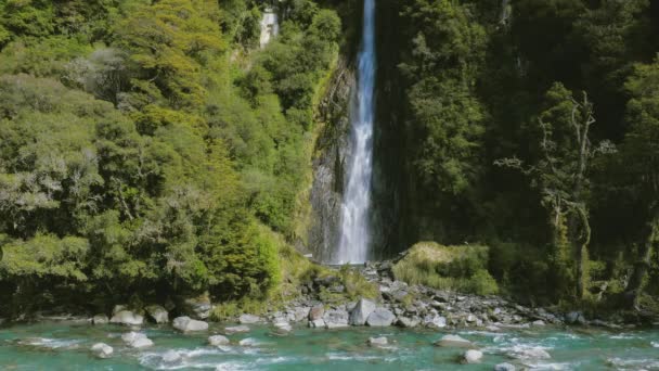 Thunder Creek Şelalesi Aspiring Milli Parkı Haast Pass Güney Adası — Stok video