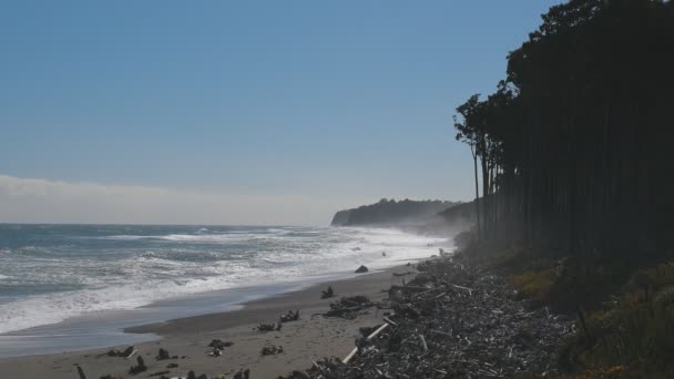 Bruce Bay West Coast South Island New Zealand Showing Beach — Stock Video