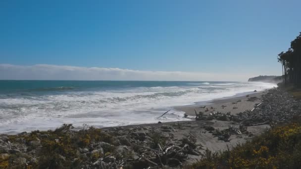 Güney Adası Yeni Zelanda Kıyı Şeridi Boyunca Plaj Orman Gösteren — Stok video