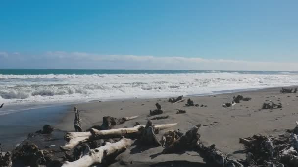 Bruce Bay West Coast South Island New Zealand Showing Beach — Stock Video