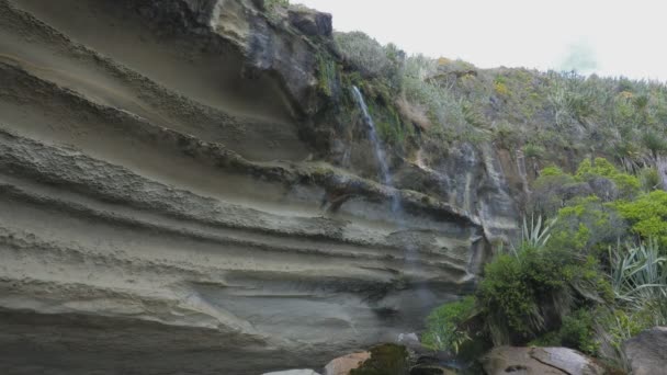 トルーマントラックの滝の崖は プナカイキとグレイマスの近くにあります パパロア国立公園 ニュージーランド — ストック動画