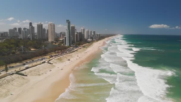 Surfer Paradies Strand Aus Der Luft Drohnen Perspektive Goldküste Queensland — Stockvideo