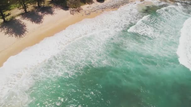 Luchtfoto Panoramabeelden Van Dicky Beach Caloundra Queensland Australië — Stockvideo