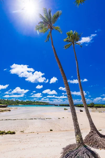 イートンビーチ、エフェテ島、バヌアツ、ポートビラの近く - 有名なビーチ — ストック写真