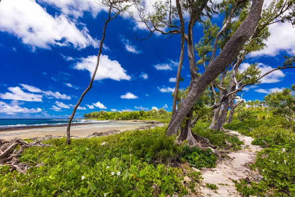 Eton Beach, Efate sziget, Vanuatu, a közelben Port Vila-híres strand — Stock Fotó