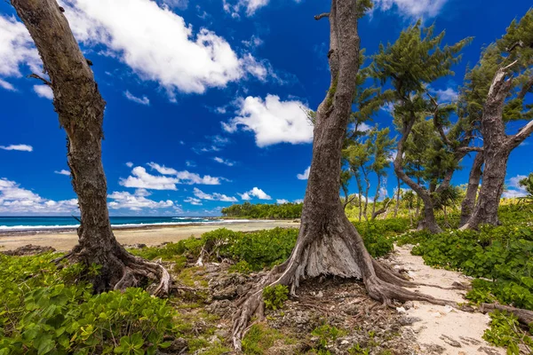 Eton Beach, Efate sziget, Vanuatu, a közelben Port Vila-híres strand — Stock Fotó