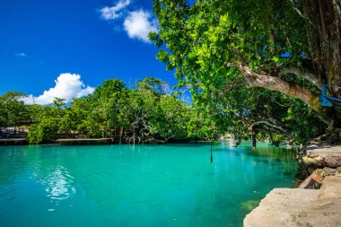 The Blue Lagoon, Port Vila, Efate, Vanuatu clipart
