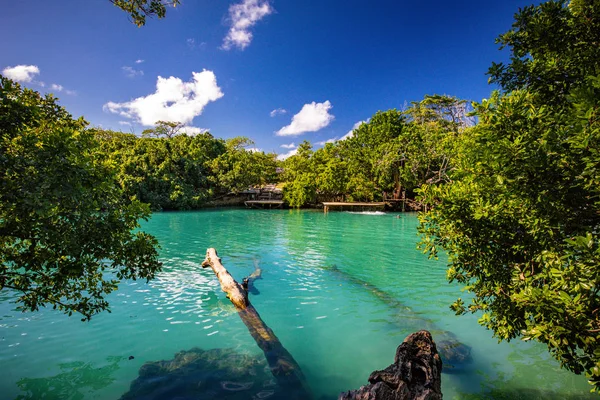 A Lagoa Azul, Port Vila, Efate, Vanuatu — Fotografia de Stock