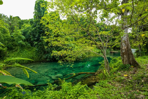 Cascadas Rarru Rentapao, Cascada y el río, pueblo de Teouma — Foto de Stock