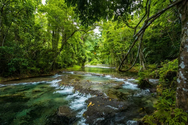 Rarru Rentapao Cascades, Cascata e il fiume, villaggio di Teouma — Foto Stock