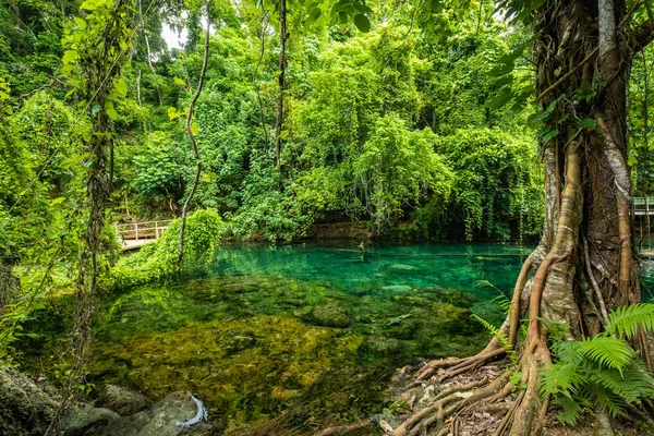 Cascades de Rarru Rentapao, Cascade et la rivière, village de Teouma — Photo