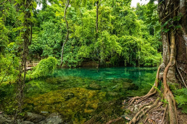 Cascades de Rarru Rentapao, Cascade et la rivière, village de Teouma — Photo