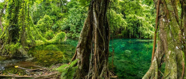 Cascades de Rarru Rentapao, Cascade et la rivière, village de Teouma — Photo