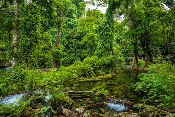 Rarru Rentapao Cascades, Cascata e il fiume, villaggio di Teouma — Foto Stock