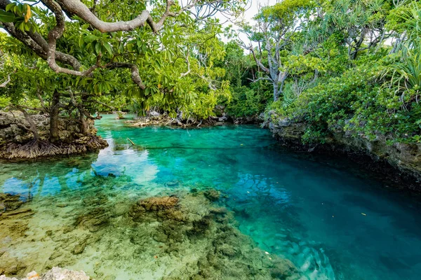 Den blå lagunen, Port Vila, Efate, Vanuatu — Stockfoto
