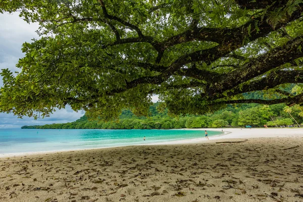 Praia de Champagne, Vanuatu, ilha de Espiritu Santo, perto de Luganville — Fotografia de Stock