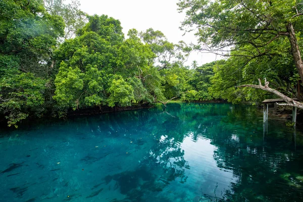 Agujero azul de Matevulu, Isla de Santa Espiritu, Vanuatu, el mayor turista — Foto de Stock