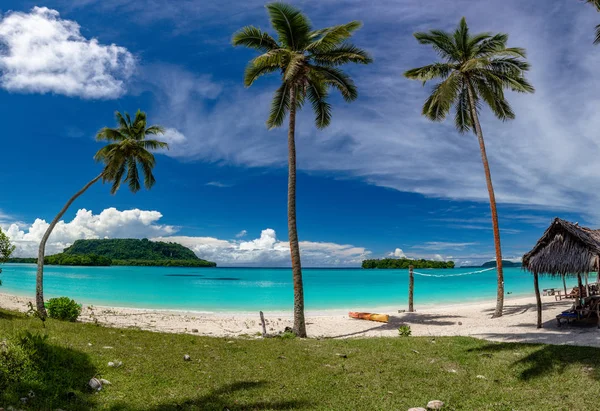 Port Orly sandstrand med palmer, Espiritu Santo Island, Va - Stock-foto