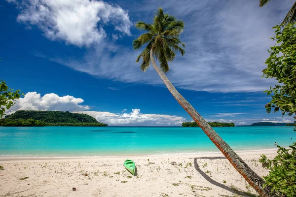 奥里港沙滩与棕榈树,埃斯皮里图圣岛,弗吉尼亚州 — 图库照片