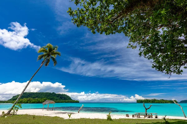 Písečná pláž port Orly s palmami, ostrov Espiritu Santo, VA — Stock fotografie