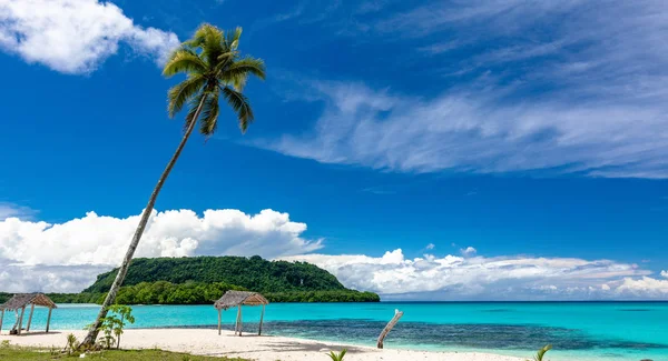 Palmiye ağaçları ile liman Orly kumlu plaj, Espiritu Santo Adası, VA — Stok fotoğraf