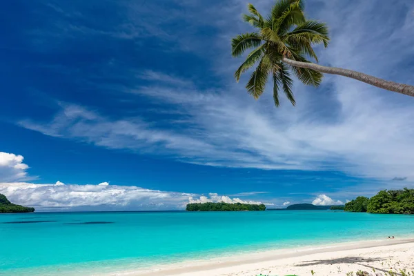 Port Orly sand strand med palmer, Espiritu Santo Island, va — Stockfoto