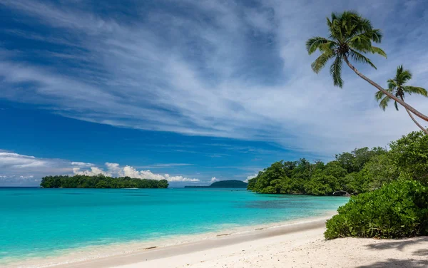 Port Orly sandy beach with palm trees, Espiritu Santo Island, Va — Stock Photo, Image