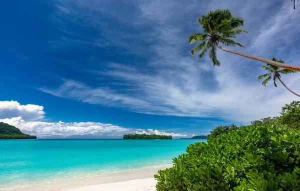 Palmiye ağaçları ile liman Orly kumlu plaj, Espiritu Santo Adası, VA — Stok fotoğraf