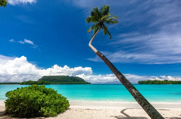 Port Orly sandy beach with palm trees, Espiritu Santo Island, Va — Stock Photo, Image