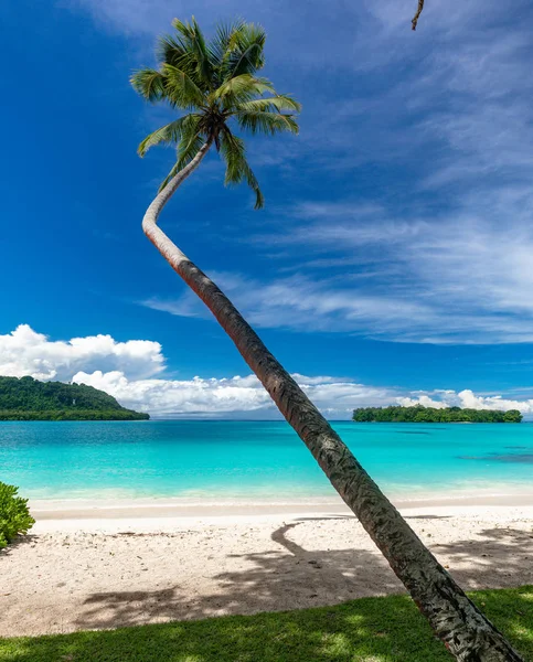 Písečná pláž port Orly s palmami, ostrov Espiritu Santo, VA — Stock fotografie