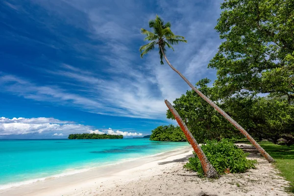 Port Orly sandy beach with palm trees, Espiritu Santo Island, Va — Stock Photo, Image