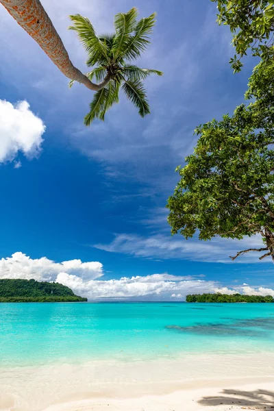 Písečná pláž port Orly s palmami, ostrov Espiritu Santo, VA — Stock fotografie