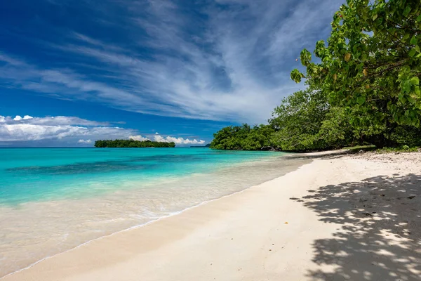 Pantai berpasir pelabuhan dengan pohon palem, Pulau Espiritu Santo, Va — Stok Foto