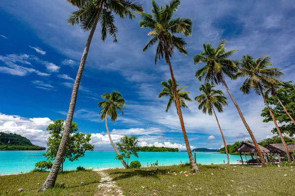 Port Orly sandy beach with palm trees, Espiritu Santo Island, Va — Stock Photo, Image