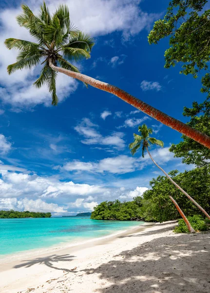 Port Orly Sandstrand mit Palmen, Insel Espiritu Santo, Strand — Stockfoto