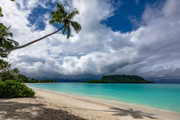 Písečná pláž port Orly s palmami, ostrov Espiritu Santo, VA — Stock fotografie