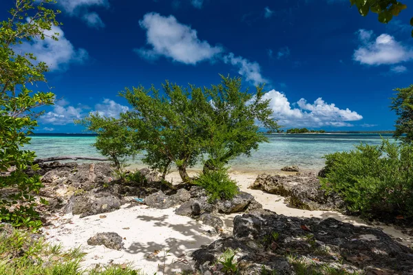 Tropikalny ośrodek życia w Vanuatu, w pobliżu Port File, Efate Island — Zdjęcie stockowe