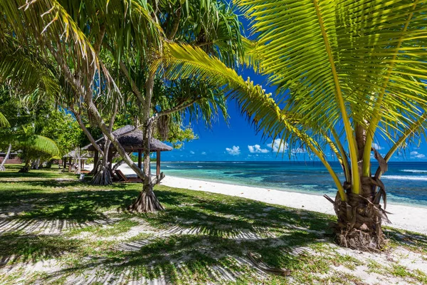 Život tropických letovisek ve Vanuatu, blízko přístavního souboru, Efate Island — Stock fotografie