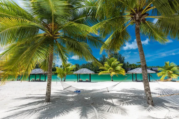 Palmer och hängmatta på en tropisk strand, öar i Vanuatu — Stockfoto