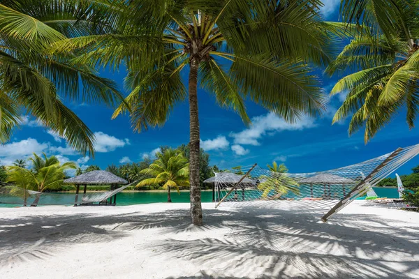 Palm bomen en hangmat op een tropisch strand, eilanden van Vanuatu — Stockfoto
